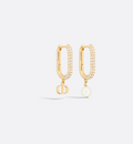 Earrings F738155