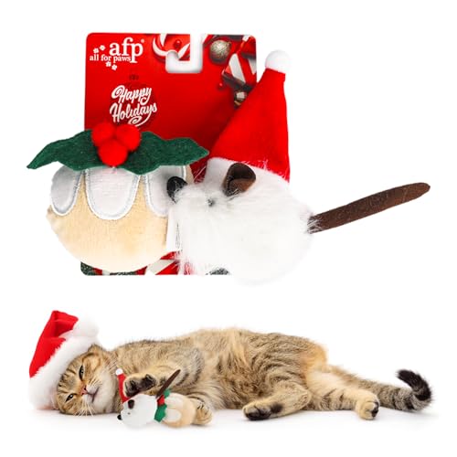 Catnip Crinkle Sound Cat Toys 2-Pack N191
