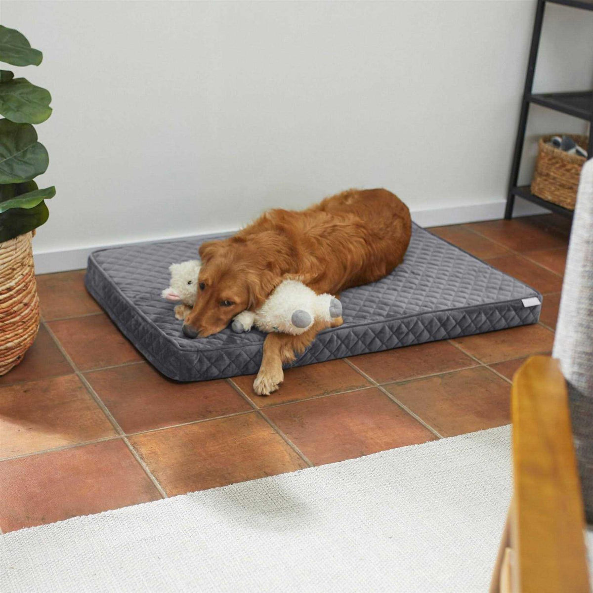 Quilted Orthopedic Cat Dog Bed with Removable Cover F414