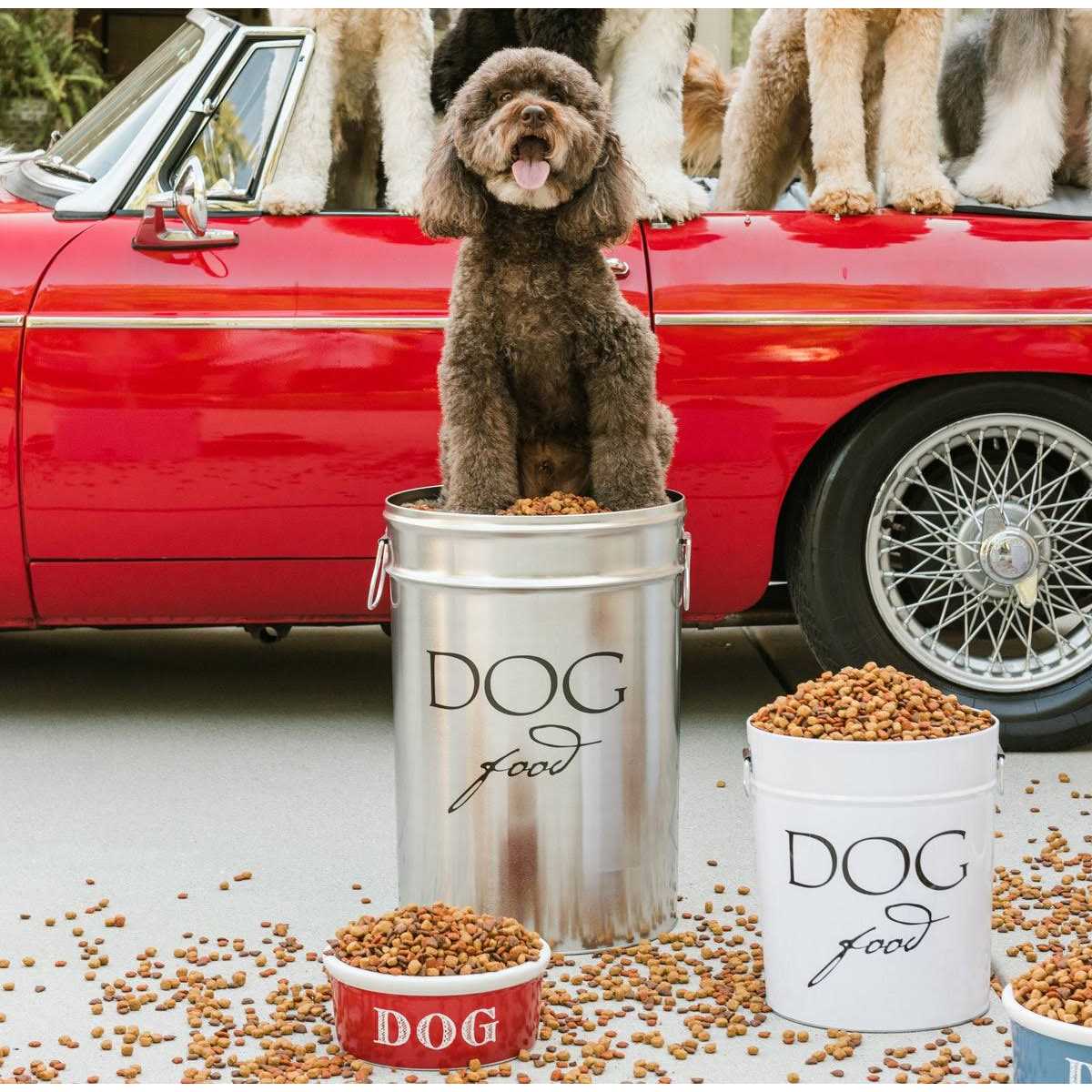 Classic Dog Food Storage Canister A64491