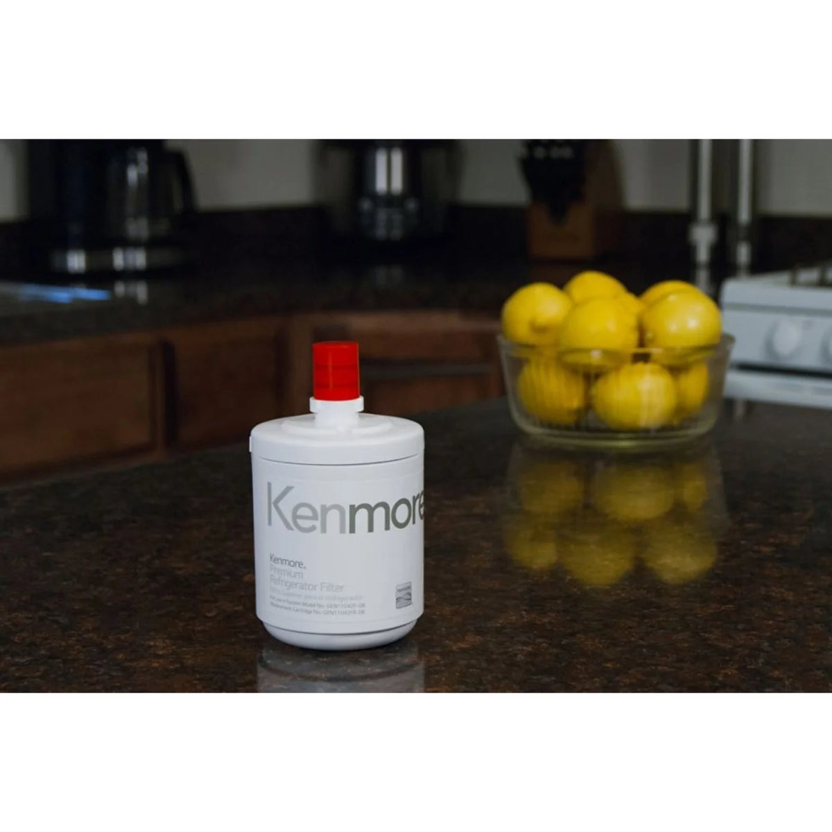 2 Pack Replacement Refrigerator Water Filter I34184