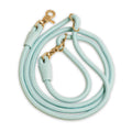 Pet Leash F289