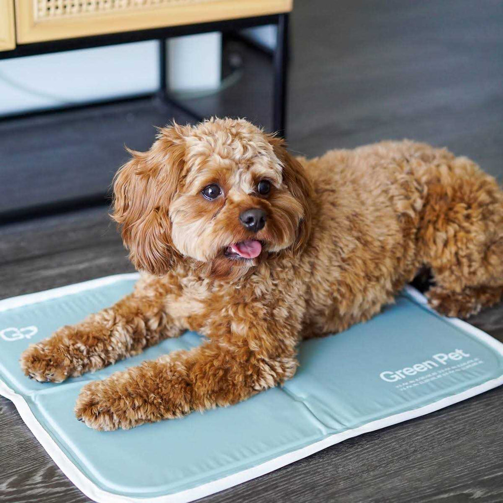 Sage Gray Self Cooling Pet Pad Q2592