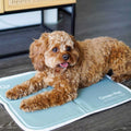 Sage Gray Self Cooling Pet Pad Q2592