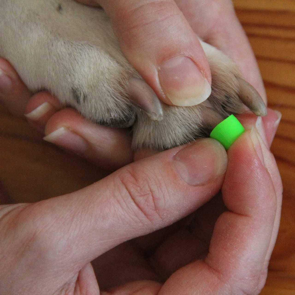 Large Toegrips for Dogs X1894