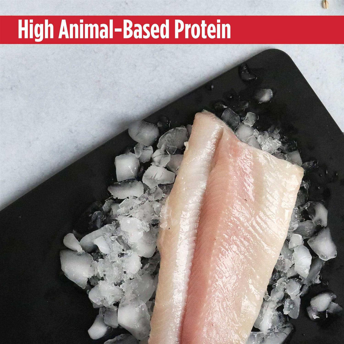 Grain Free Trout & Duck Dry Cat Food Z68206