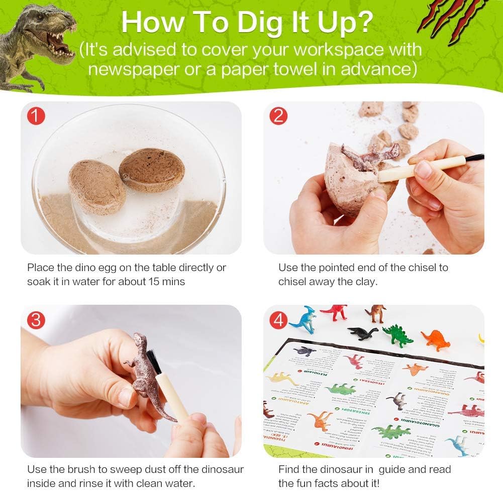12 PCS Dinosaur Excavation Toys with Dinosaur Eggs W965463