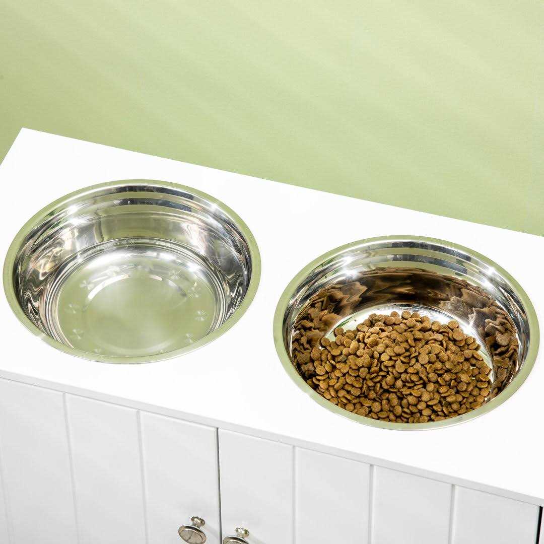 Large Elevated Dog Bowls with Storage Cabinet Y701524