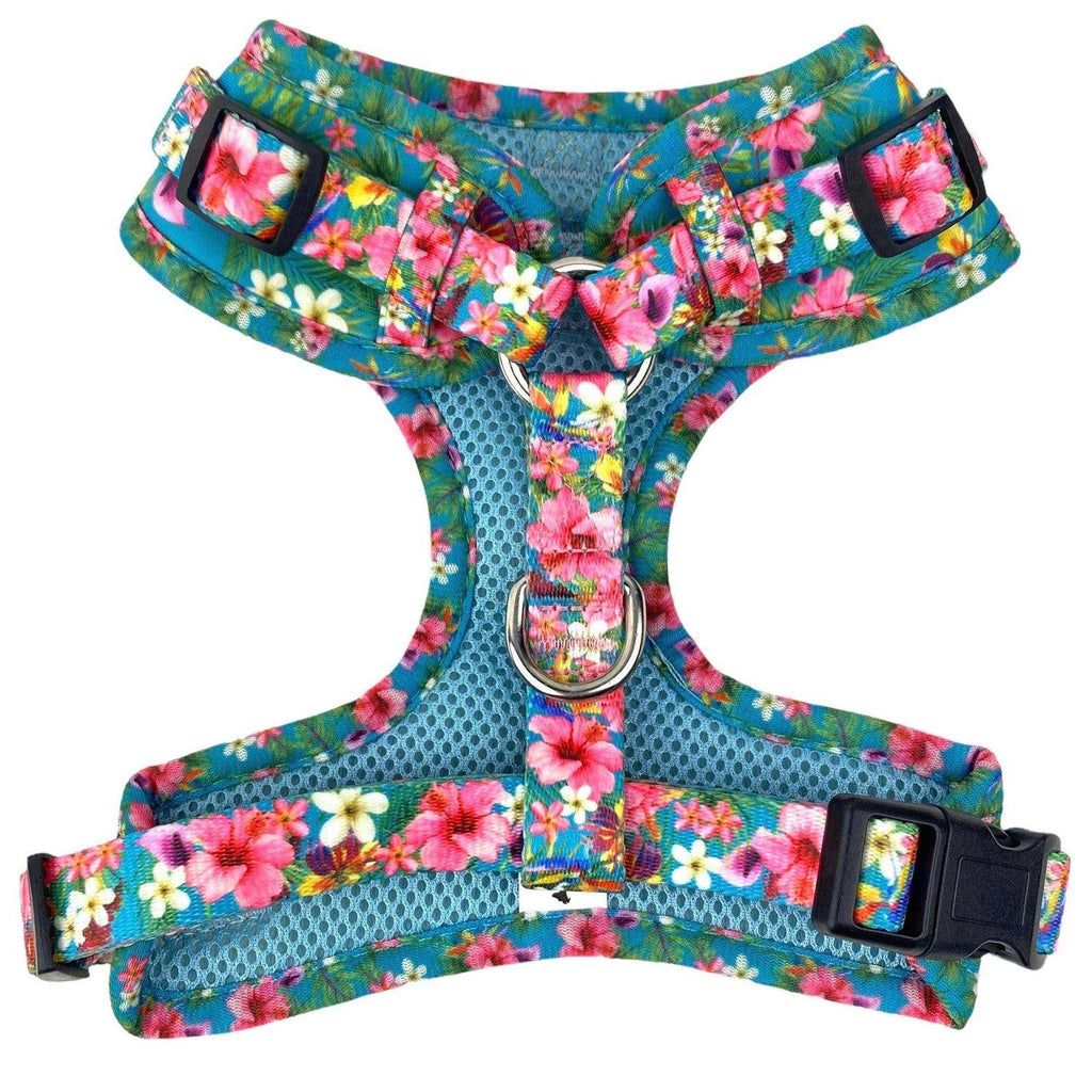 Adjustable No Pull No Escape Neoprene Dog Harness R318622
