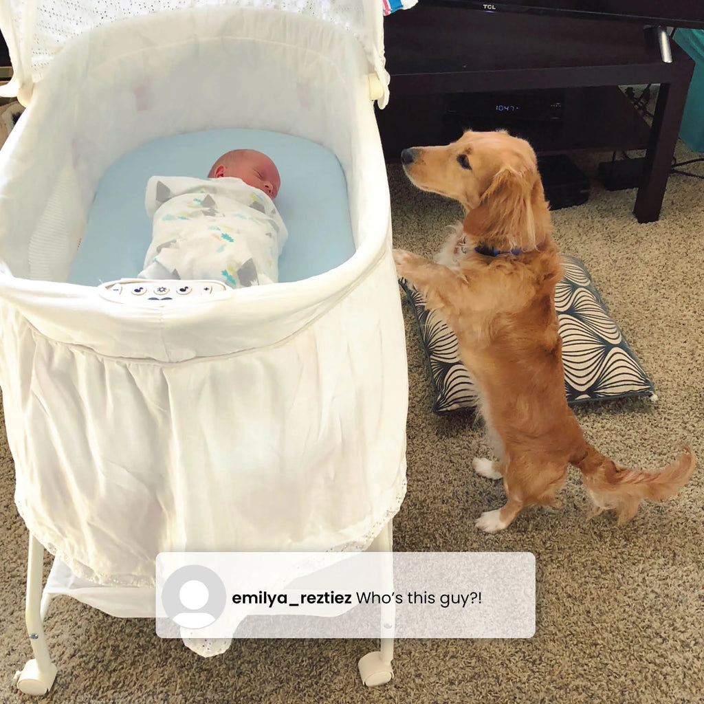 Bassinet D6239