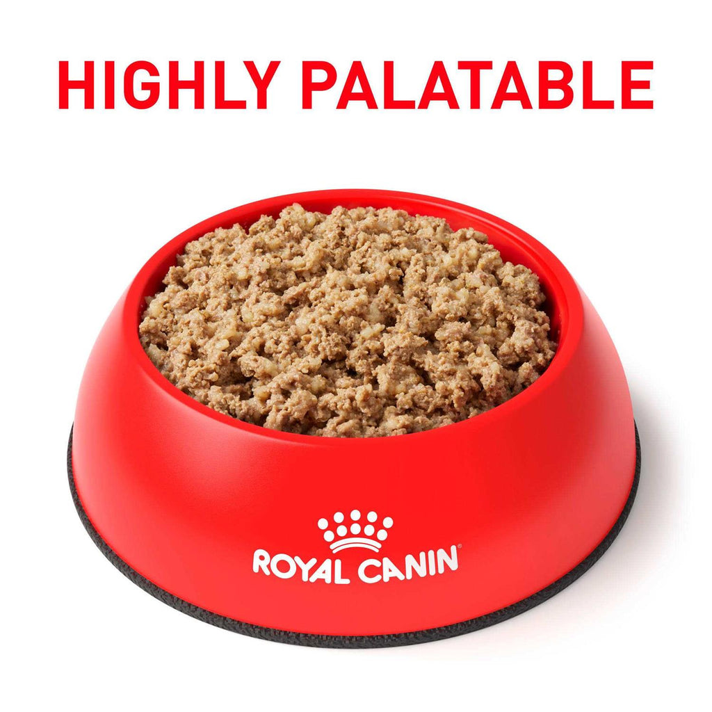 Gastrointestinal Loaf Canned Dog Food E2870