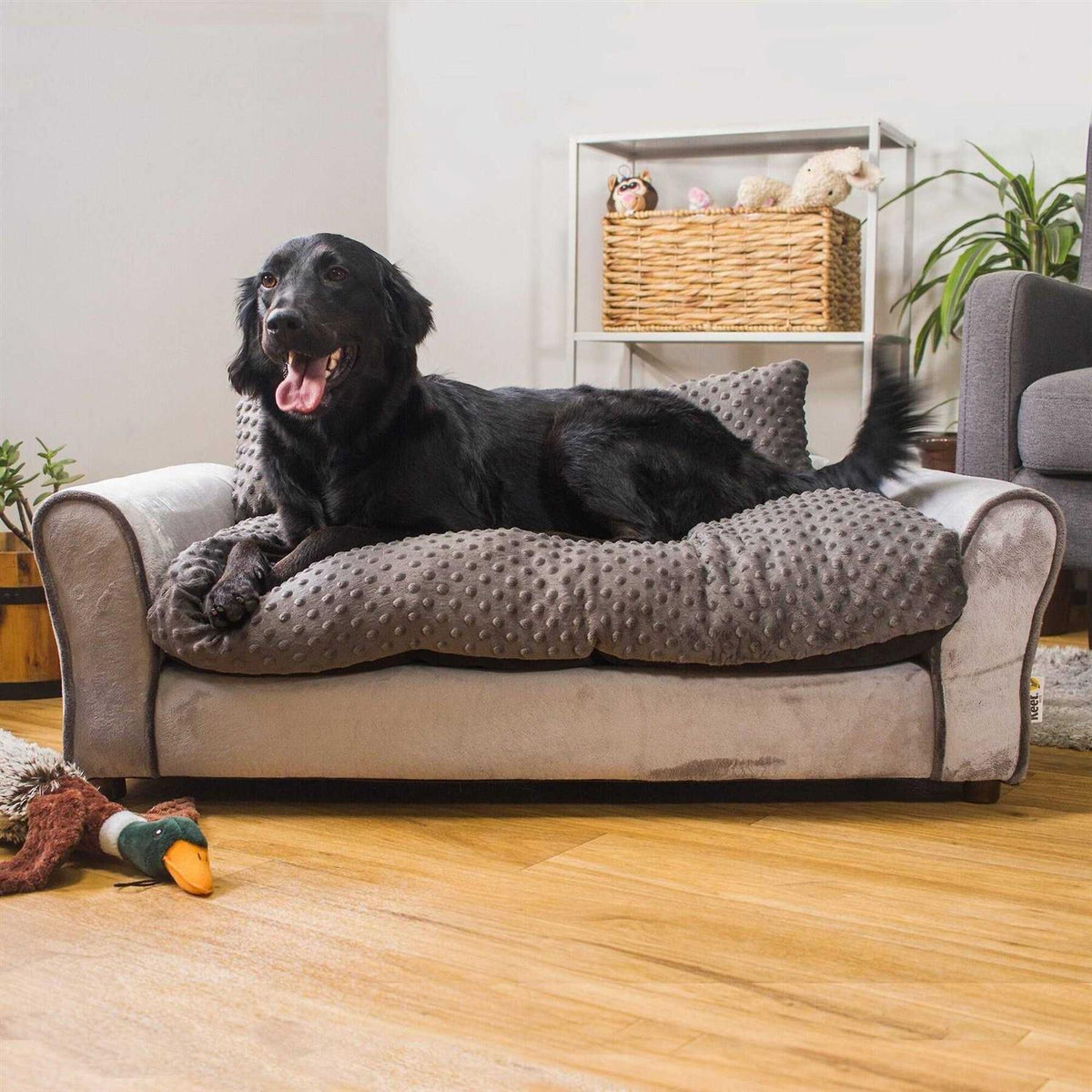 Pet Sofa Bed M204