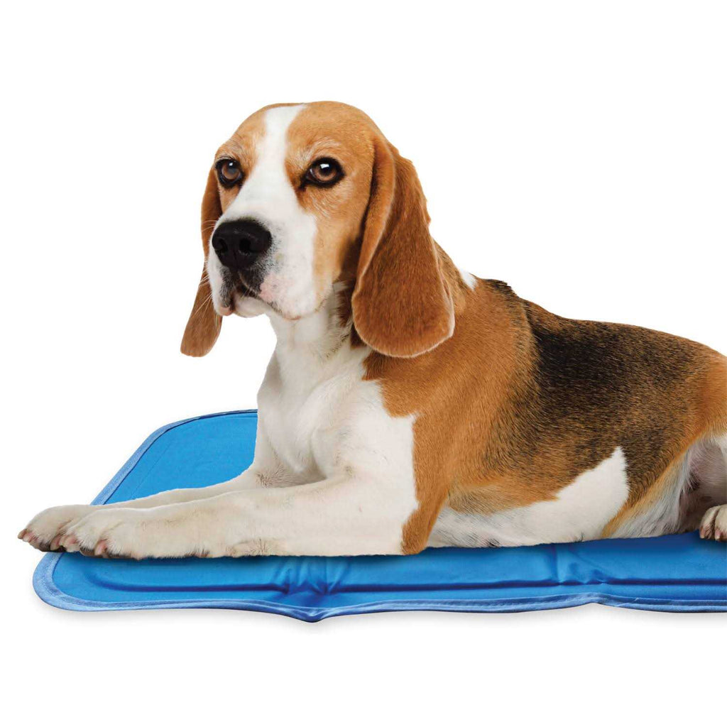 Sage Gray Self Cooling Pet Pad Q2592