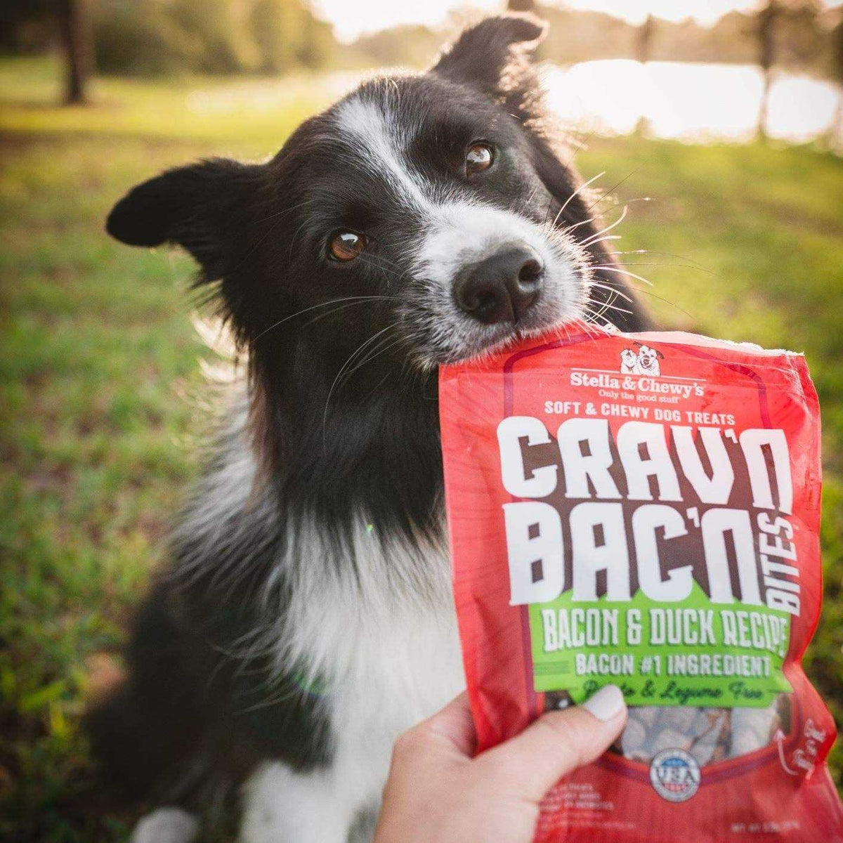 Bacon Dog Treats U6720