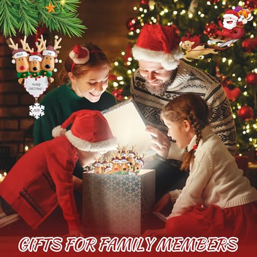 Reindeer Christmas Ornaments 3D Resin Family of 4 G523202