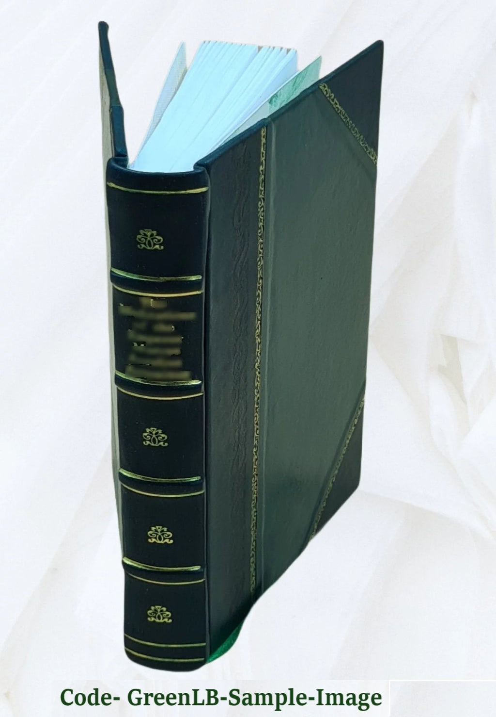 Snake River study Interim Report No 1 Leather Bound D6212