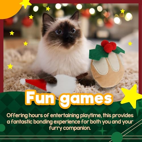 Catnip Crinkle Sound Cat Toys 2-Pack N191