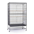Extra Large Wrought Iron Flight Cage B243398